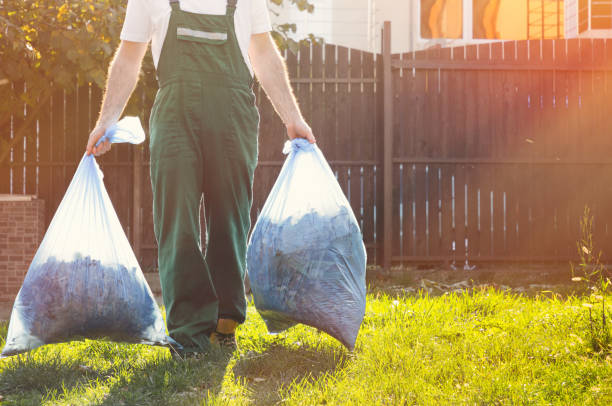 Best Office Junk Removal  in Wheaton, MD